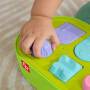 Mattel Fisher-Price FP Pets Pop-up-Aktivitätsspielzeug für Feinmotorik, entwicklungsförderndes Spiel