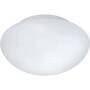 Eglo Leuchten Wand- Deckenleuchte 1 DM200 Glas opal ELLA