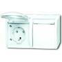 Busch-Jaeger SCHUKO® DOPPELSTECKDOSE (20/2 EBW-54)