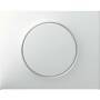 Berker ZENTRALSTK.F.DIMMER (11357009 PWS  K.1)