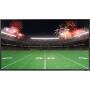 Samsung FERNSEHER QLED THE TERRACE (75LST7D)