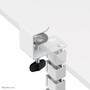 NEOMOUNTS BY NEWSTAR NEOMOUNTS Cable Spine Organizer for sit/stand desk frames clamp mounted white (