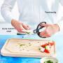 TEFAL TEF Küchenschere Ice Force