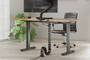 NEOMOUNTS BY NEWSTAR NEOMOUNTS Cable Spine Organizer for sit/stand desk frames clamp mounted black (