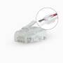 Nedis RJ45-Stecker / RJ45 Pass Through / Solid UTP CAT5e / Gerade / Vergoldet / 10 Stück / Polycarbonate / Transparent / Box