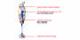 ESGE Zauberstab Design Edition Color-Art