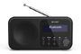 Sharp DR-P420(BK) schwarz Radios