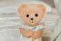 Zapf BABY born for babies Teddy 26cm