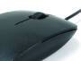 Conceptronic Optical Desktop Mouse - Ambidextrous - Optical - USB Type-A - 800 DPI - Black - grey