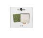PETIT ARTICHAUT Babyabdruck Dose "Olive Tree"