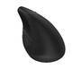 HP Inc. HP Maus 925 Ergonomic Vertical Mouse Kabelloser Empfänger (6H1A5AA#ABB)