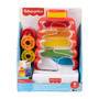 Mattel Fisher-Price Rutschspaß Farbring Pyramide