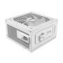 MSI Netzteil MAG A1000GL White PCIE5 1000Watt (306-7ZP9B51-CE0)