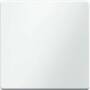 Berker 16206089 - White - Duroplast - 10 pc(s)