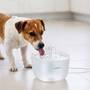 Nedis Trinkbrunnen für Katzen und Hunde / 2.0 l / 40 dB / 1.50 m / Wasserfontäne / 1 Stück