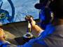ThrustMaster F/A-18C Hornet HOTAS - Joystick - Back button - Home button - Mode button - Options button - Power button - Wireless - Black