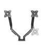 Nedis Schreibtisch Monitorhalterung / Gasfeder / 2 Bildschirme / 15 - 32 " / 75x75 / 100x100 / Vollbeweglich