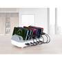 MANHATTAN 10-Port USB-Power Delivery-Ladestation 200W (102766)