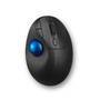 Kensington Trackball Pro Fit Ergo TB450 (K72194WW)