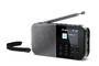 Sharp DR-P520 Osaka schwarz Radios