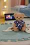 Zapf BABY born Teddy mit Schlafanzug leuchtet im Dunkeln