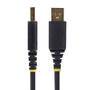 STARTECH.COM 2m USB auf Seriell Adapter COM-Retention FTDI USB-A zu DB9 Kabel USB RS232 Wechselbare 