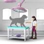 Schleich Pferdeklinik ''Heilende Hufe''