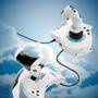 Thrustmaster T.Flight Hotas One MS Flight Simulator Edition Joysticks