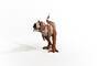 schleich® Dinosaurs 15032 Majungasaurus