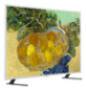 LG Mini LED-TV 65" (164cm) 65LX7B6LA