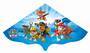 Günther GÜNTHER Paw Patrol Kinderdrachen