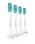 Philips Ersatz-Zahnbürste HX6014/87 Proresults (4er Pack) weiß