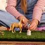 Schleich Emily s Pflege Set