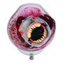 Spin Master Primal Hatch - Interaktiver Megalodon Hai