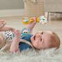 Mattel Fisher-Price Babys Rumba-Rasseln Spielzeug, 2er-Set für Babys ab 3 Monaten, kontrastreiches D