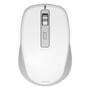Hama Funk/Bluetooth-Maus WM-450 w (173080)