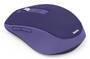 Hama Funk/Bluetooth-Maus WM-450 b (173040)