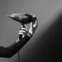 Rowenta HAARTROCKNER KL PRO STYLIST (HAARTROCKNER)