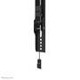 Neomounts by Newstar tv wall mount - 109.2 cm (43") - 2.18 m (86") - 100 x 100 mm - 800 x 400 mm - 0 - 12° - Black