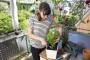 Gardena city gardening Balkon-Box (8970-20)