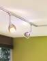 Paulmann SCHIRM 50W GLAS DECOSYSTEMS (WOLBI DICROIT)
